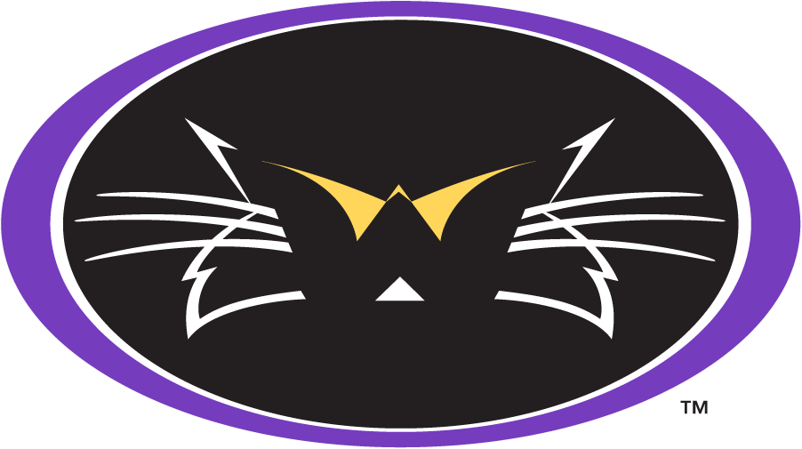 Western Carolina Catamounts 1996-2003 Secondary Logo v2 diy DTF decal sticker